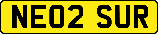 NE02SUR