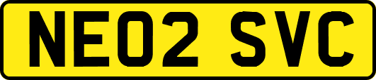NE02SVC