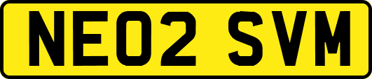 NE02SVM