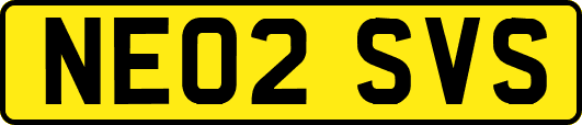 NE02SVS