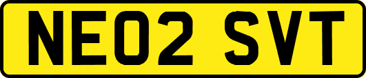 NE02SVT