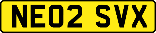 NE02SVX