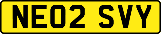 NE02SVY