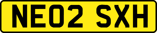 NE02SXH