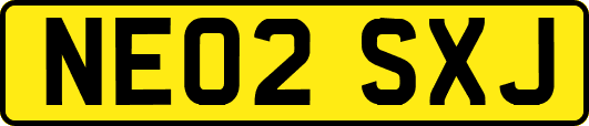 NE02SXJ