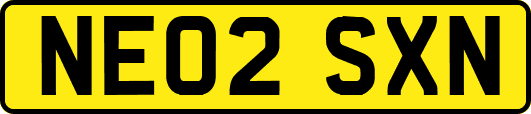 NE02SXN