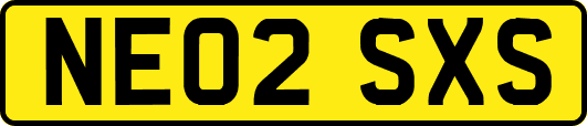 NE02SXS