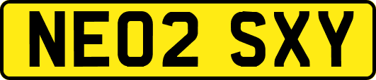 NE02SXY