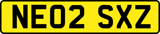 NE02SXZ