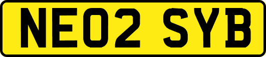 NE02SYB
