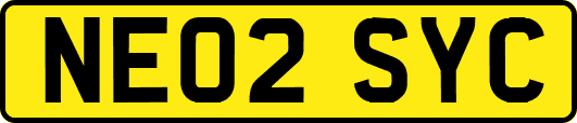 NE02SYC