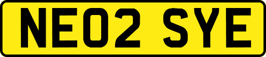 NE02SYE