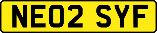 NE02SYF