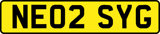 NE02SYG