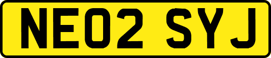 NE02SYJ