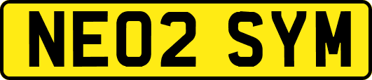 NE02SYM