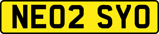 NE02SYO