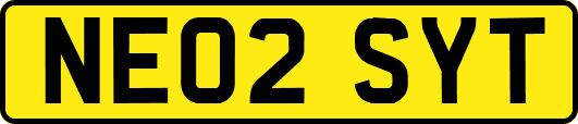 NE02SYT