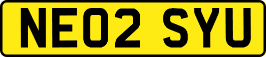 NE02SYU