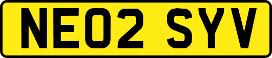 NE02SYV