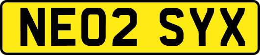 NE02SYX
