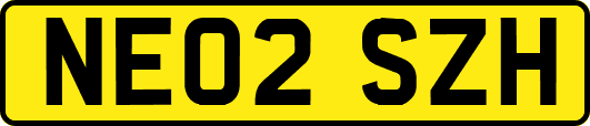 NE02SZH