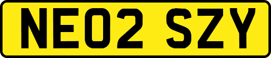 NE02SZY