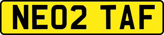 NE02TAF