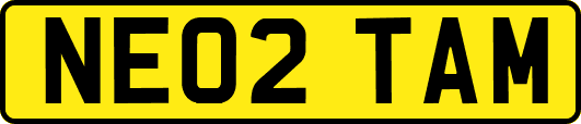 NE02TAM