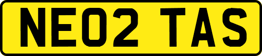 NE02TAS