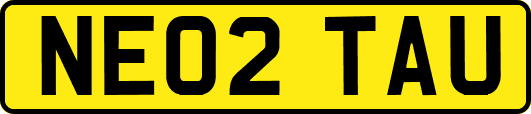 NE02TAU