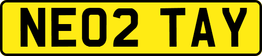 NE02TAY