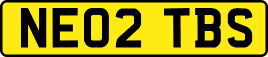 NE02TBS
