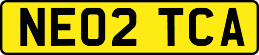 NE02TCA