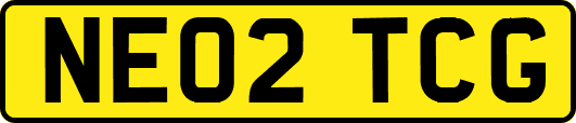 NE02TCG