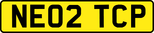 NE02TCP