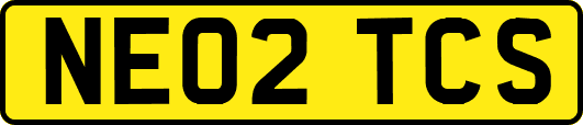 NE02TCS