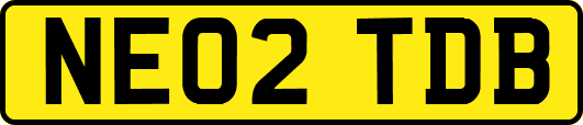 NE02TDB