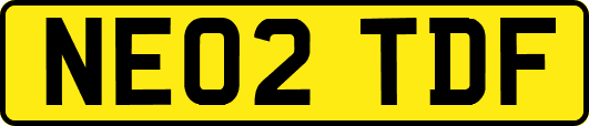 NE02TDF