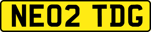NE02TDG