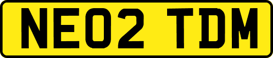 NE02TDM