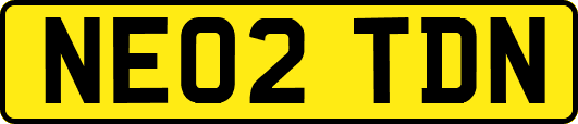 NE02TDN