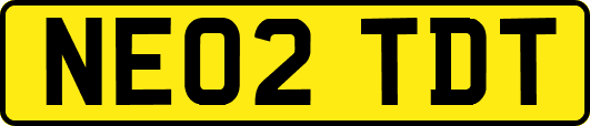 NE02TDT