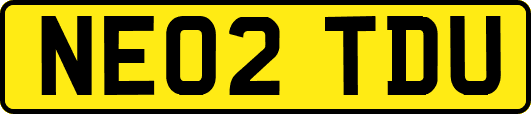 NE02TDU