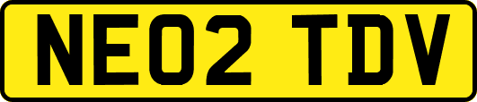 NE02TDV