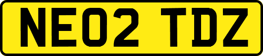 NE02TDZ