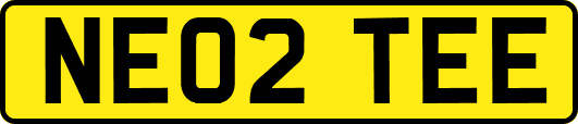 NE02TEE