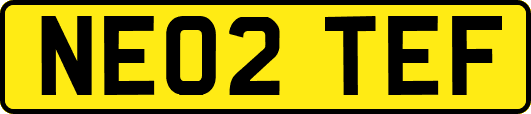 NE02TEF