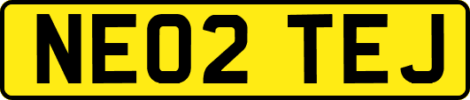 NE02TEJ