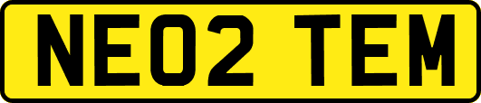 NE02TEM